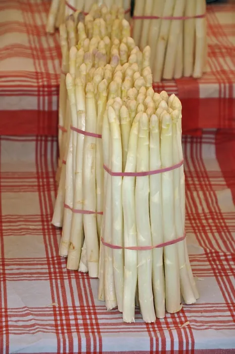 Gerahmter Druck : Spargel, Spargel, weißer Spargel. Gerahmter Druck : Spargel, Spargel, weißer Spargel.