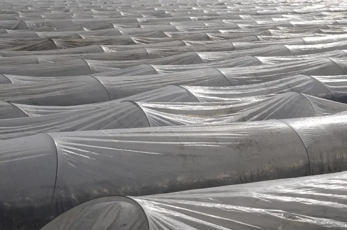Gerahmter Druck : Asparagusfeld mit Plastikfolien bedeckt. Gerahmter Druck : Asparagusfeld mit Plastikfolien bedeckt.