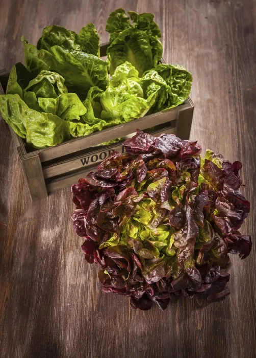 Gerahmter Druck : Gemischte Salat auf Holztisch Gerahmter Druck : Gemischte Salat auf Holztisch