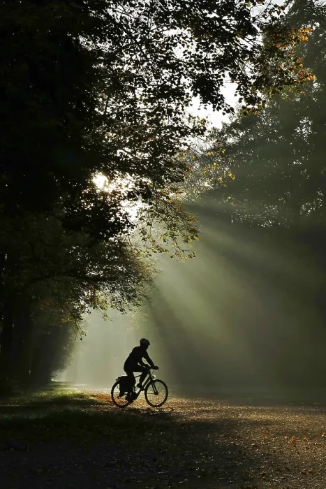 Gerahmter Druck : Atmosphärische Herbstzeit, Oktober, Deutschland. Gerahmter Druck : Atmosphärische Herbstzeit, Oktober, Deutschland.