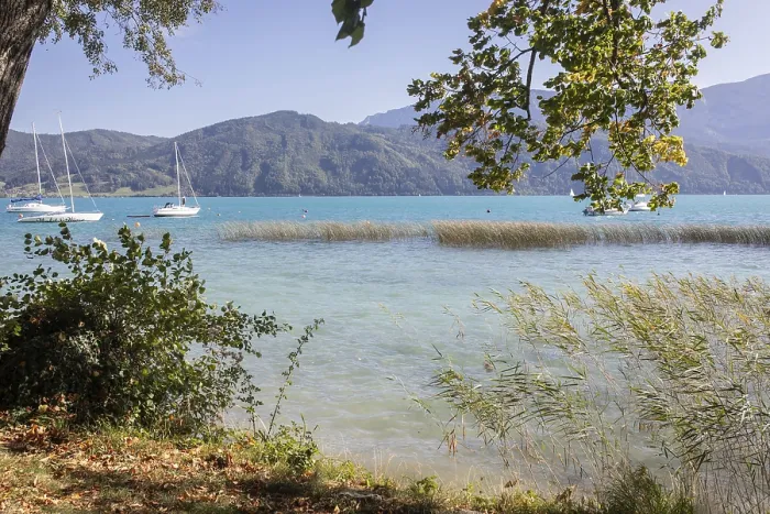 Gerahmter Druck : Attersee, Oberösterreich, Österreich Gerahmter Druck : Attersee, Oberösterreich, Österreich