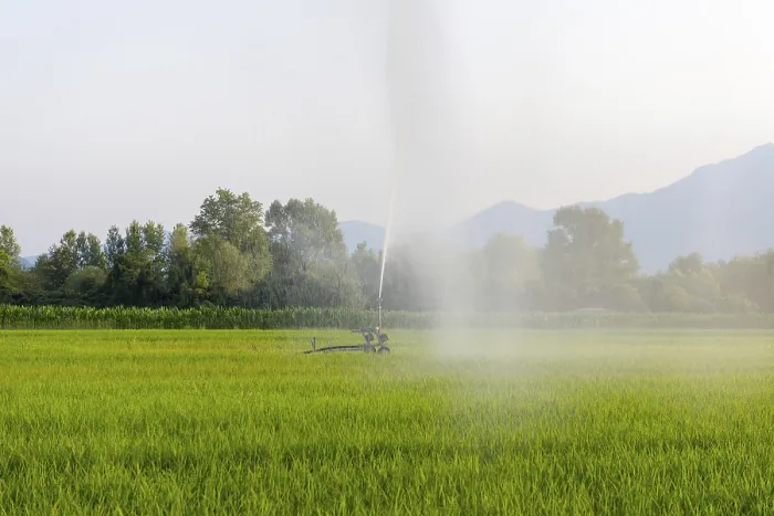 Gerahmter Druck : Automatischer Wassersprinkler Gerahmter Druck : Automatischer Wassersprinkler