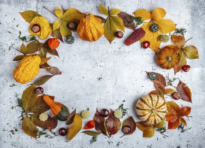 Gerahmter Druck : Herbst, Hintergrund, mit Kürbis. Gerahmter Druck : Herbst, Hintergrund, mit Kürbis.