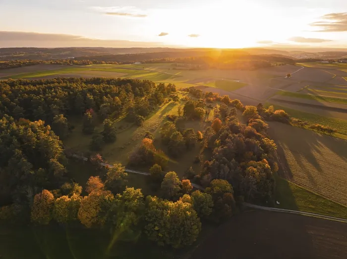 Gerahmter Druck : Herbstwald und Felder in warmem Abendlicht. Gerahmter Druck : Herbstwald und Felder in warmem Abendlicht.