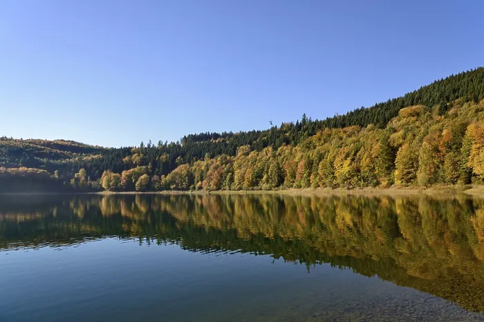 Gerahmter Druck : Herbstwald spiegelt sich im Hennesee. Gerahmter Druck : Herbstwald spiegelt sich im Hennesee.