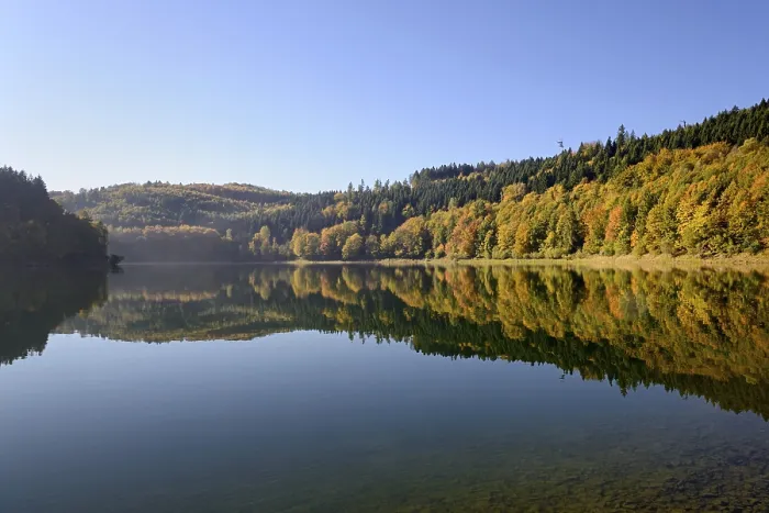 Gerahmter Druck : Herbstwald im Spiegel des Hennesee. Gerahmter Druck : Herbstwald im Spiegel des Hennesee.