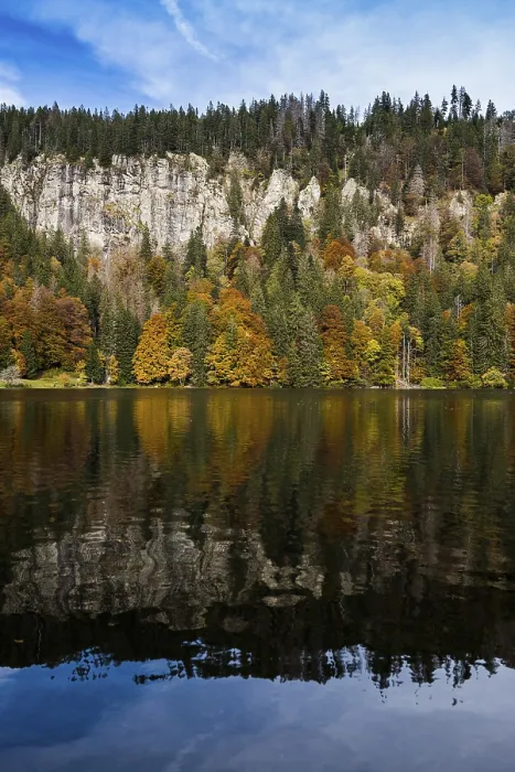 Gerahmter Druck : Herbstwald mit Spiegelung, Feldsee. Gerahmter Druck : Herbstwald mit Spiegelung, Feldsee.