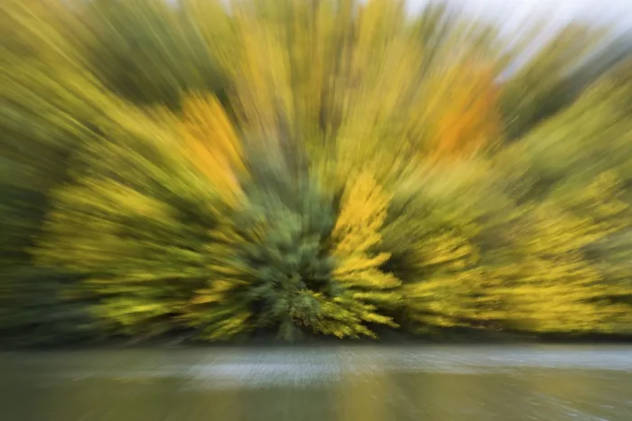 Gerahmter Druck : Herbstimpression am Fluss. Gerahmter Druck : Herbstimpression am Fluss.