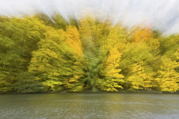 Gerahmter Druck : Herbstimpression am Fluss. Gerahmter Druck : Herbstimpression am Fluss.