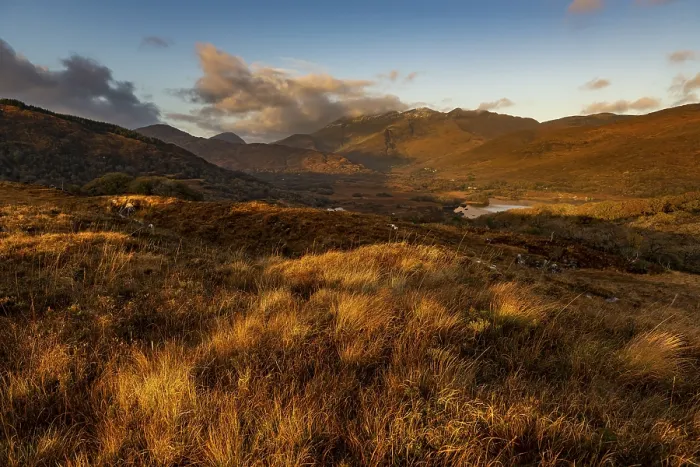 Gerahmter Druck : Herbstlandschaft, Dingle, County Kerry, Irland