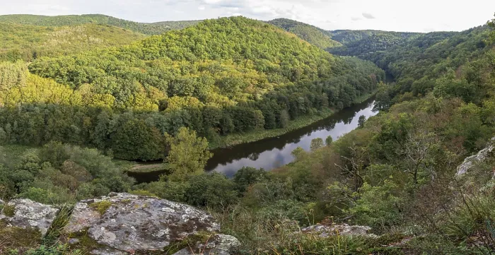 Gerahmter Druck : Herbstlandschaft, Flussrundung, Thaya. Gerahmter Druck : Herbstlandschaft, Flussrundung, Thaya.