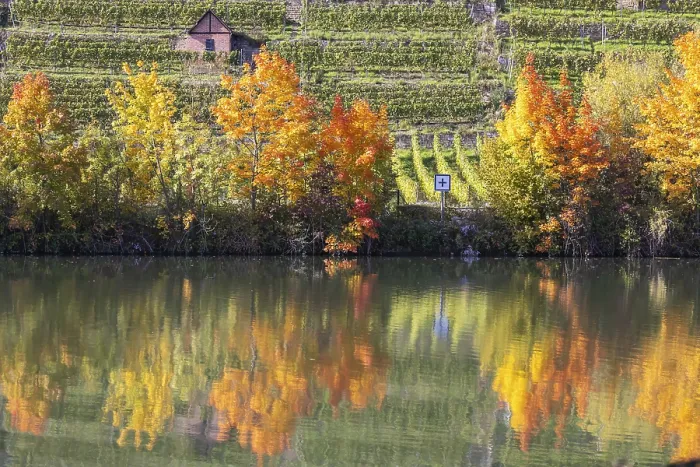Gerahmter Druck : Herbst am Neckar in Stuttgart. Gerahmter Druck : Herbst am Neckar in Stuttgart.