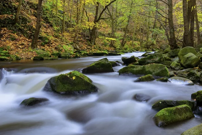 Gerahmter Druck : Herbst am Fluss Bode in den Harzgebirgen. Gerahmter Druck : Herbst am Fluss Bode in den Harzgebirgen.