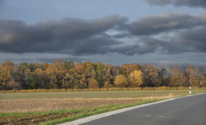 Gerahmter Druck : Herbststraße neben unbebauten Feldern. Gerahmter Druck : Herbststraße neben unbebauten Feldern.
