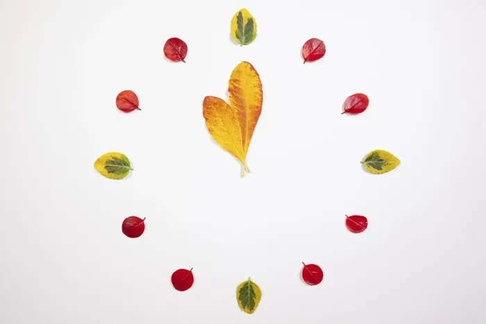 Gerahmter Druck : Herbstzeit - Uhr der herbstlichen Blätter. Gerahmter Druck : Herbstzeit - Uhr der herbstlichen Blätter.