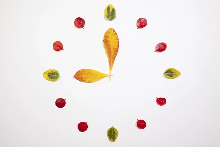 Gerahmter Druck : Herbstzeit - Uhr der herbstlichen Blätter. Gerahmter Druck : Herbstzeit - Uhr der herbstlichen Blätter.