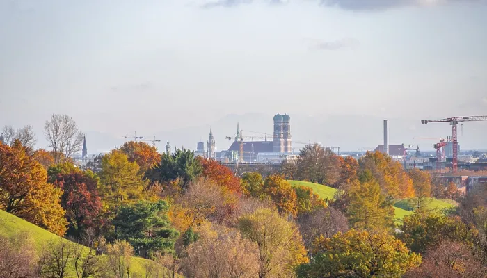 Gerahmter Druck : Herbstbäume im Olympiapark. Gerahmter Druck : Herbstbäume im Olympiapark.