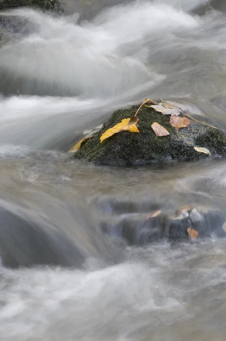 Gerahmter Druck : Herbst im Tal Gerahmter Druck : Herbst im Tal