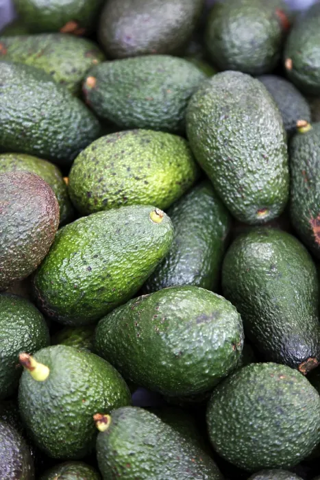 Gerahmter Druck : Avocado Gerahmter Druck : Avocado