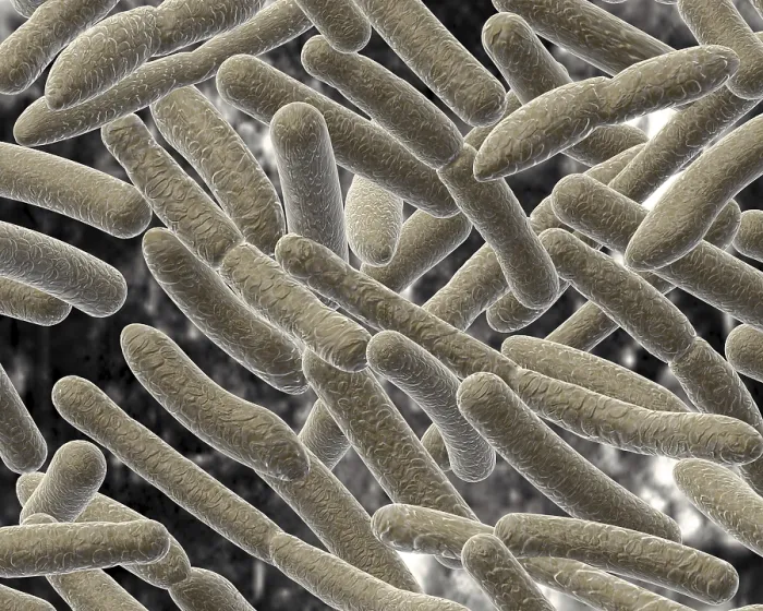 Gerahmter Druck : Bacillus auf verschwommener Hintergrund Gerahmter Druck : Bacillus auf verschwommener Hintergrund