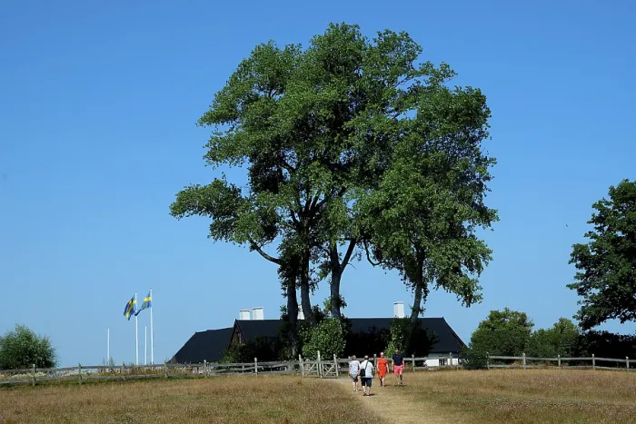 Gerahmter Druck : Backakra, das Ferienhaus. Gerahmter Druck : Backakra, das Ferienhaus.