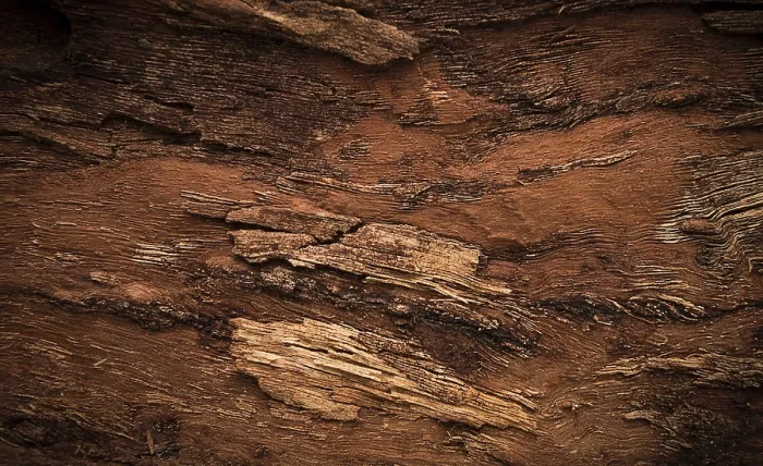 Gerahmter Druck : Hintergrund, Walnussrinde, Holztextur. Gerahmter Druck : Hintergrund, Walnussrinde, Holztextur.