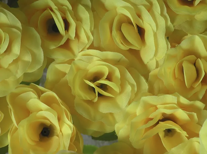 Gerahmter Druck : Hintergrund von gelben Blumen. Gerahmter Druck : Hintergrund von gelben Blumen.