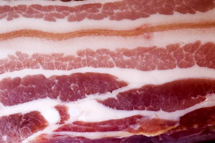 Gerahmter Druck : Bacon Gerahmter Druck : Bacon