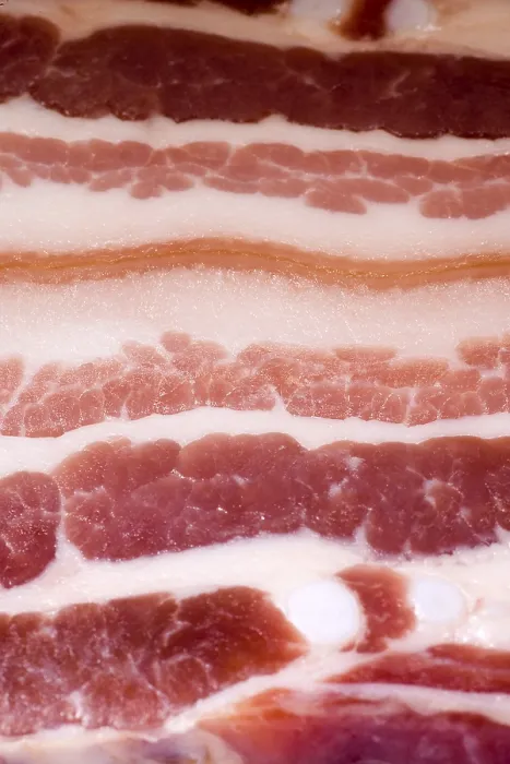 Gerahmter Druck : Bacon Gerahmter Druck : Bacon