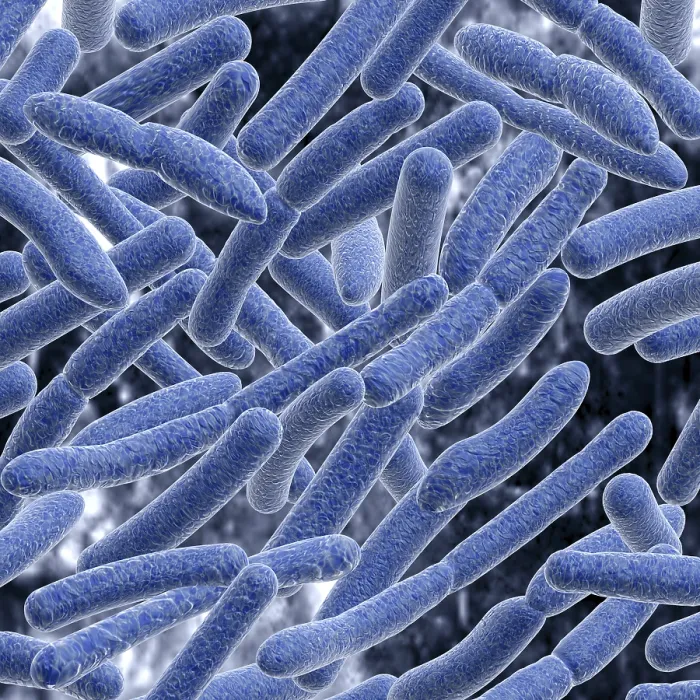 Gerahmter Druck : Bacteria Gerahmter Druck : Bacteria