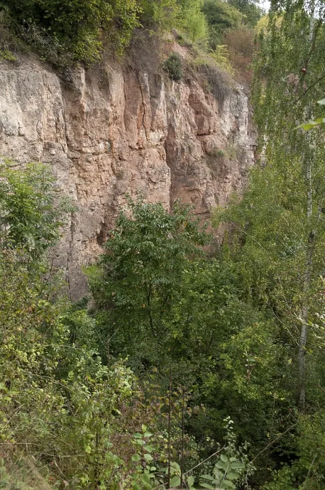 Gerahmter Druck : Bad Kostritz, Greiz, Pohlisch Gerahmter Druck : Bad Kostritz, Greiz, Pohlisch