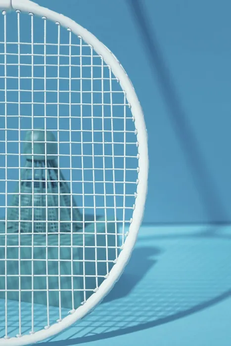 Gerahmter Druck : Schläger Badminton blauer Flieger Gerahmter Druck : Schläger Badminton blauer Flieger