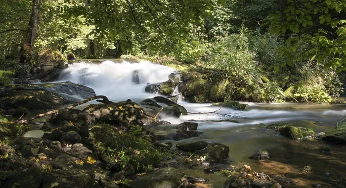 Gerahmter Druck : Baernloch-Wanderweg Gerahmter Druck : Baernloch-Wanderweg