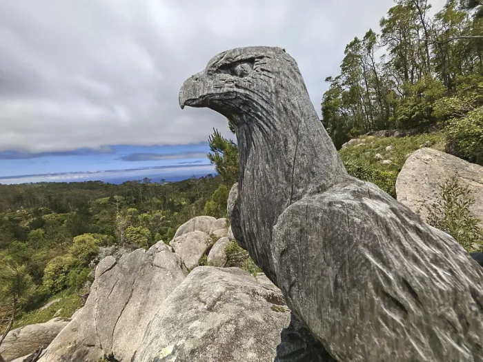 Gerahmter Druck : Ein Adler, ein Raubvogel oder Greifvogel. Gerahmter Druck : Ein Adler, ein Raubvogel oder Greifvogel.