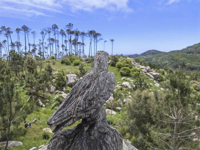 Gerahmter Druck : Ein Adler, ein Raubvogel Gerahmter Druck : Ein Adler, ein Raubvogel