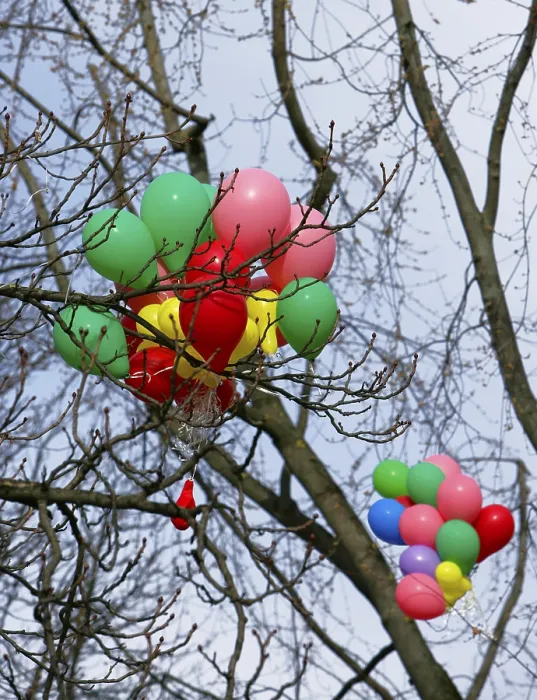 Gerahmter Druck : Ballons in einem Baum gefangen.