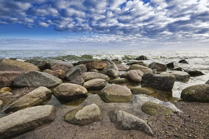 Gerahmter Druck : An der Ostseeküste. Gerahmter Druck : An der Ostseeküste.