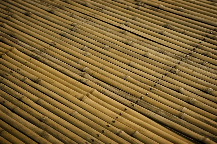Gerahmter Druck : Detail einer Bambusoberfläche Gerahmter Druck : Detail einer Bambusoberfläche