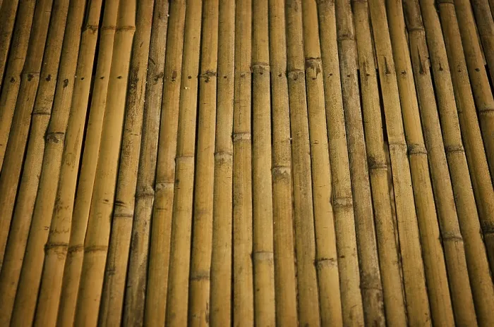 Gerahmter Druck : Detail einer Bambusoberfläche. Gerahmter Druck : Detail einer Bambusoberfläche.