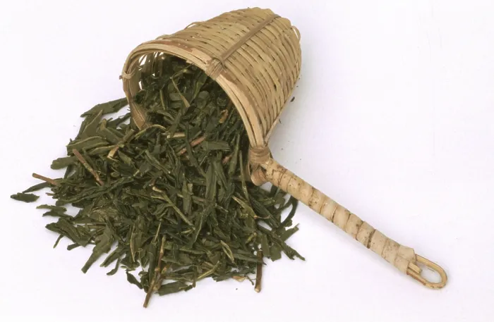 Gerahmter Druck : Bambus-Teestrauer für grünen Tee, getrocknete Blätter des Teebaums (Camellia sinensis), unvergoren, Darjeeling Gerahmter Druck : Bambus-Teestrauer für grünen Tee, getrocknete Blätter des Teebaums (Camellia sinensis), unvergoren, Darjeeling