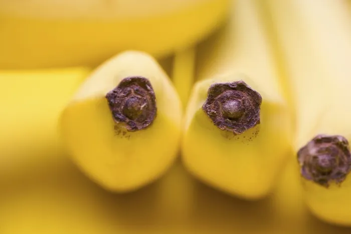 Gerahmter Druck : Bananas Gerahmter Druck : Bananas