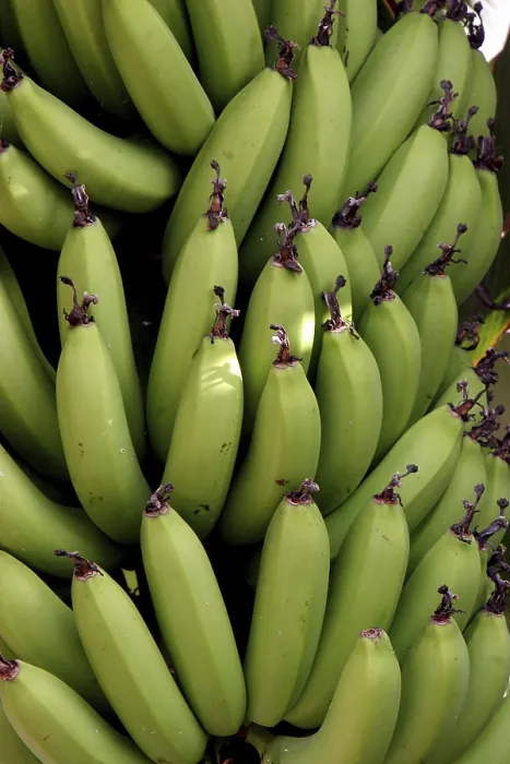 Gerahmter Druck : Bananas Gerahmter Druck : Bananas