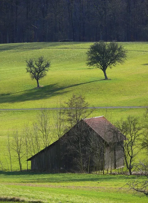 Gerahmter Druck : Bauernhof in einem Waldwiesen im Winter. Gerahmter Druck : Bauernhof in einem Waldwiesen im Winter.