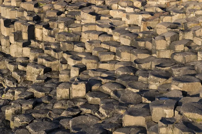 Gerahmter Druck : Basaltformationen, Kalfshamarsvik Gerahmter Druck : Basaltformationen, Kalfshamarsvik