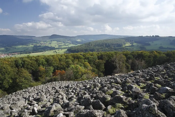 Gerahmter Druck : Basaltfelsen, Schafstein. Gerahmter Druck : Basaltfelsen, Schafstein.