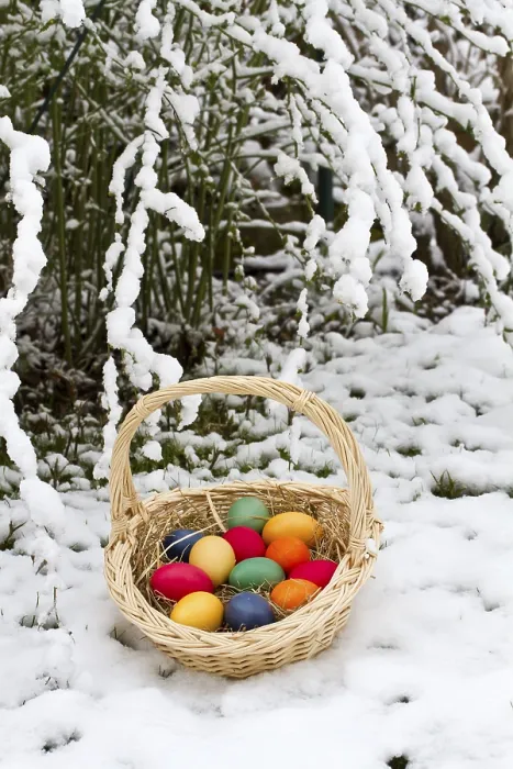 Gerahmter Druck : Korb mit farbenfrohen Ostereiern im Schnee. Gerahmter Druck : Korb mit farbenfrohen Ostereiern im Schnee.