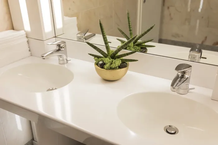 Gerahmter Druck : Badezimmer mit Pflanze. Gerahmter Druck : Badezimmer mit Pflanze.