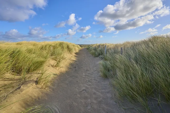 Gerahmter Druck : Strandzugang, Sanddüne, Dünengras. Gerahmter Druck : Strandzugang, Sanddüne, Dünengras.