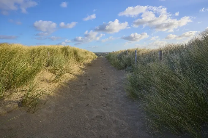 Gerahmter Druck : Strandzugang, Sanddüne, Dünengras. Gerahmter Druck : Strandzugang, Sanddüne, Dünengras.