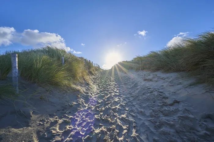 Gerahmter Druck : Strandzugang, Sanddüne, Dünengras. Gerahmter Druck : Strandzugang, Sanddüne, Dünengras.